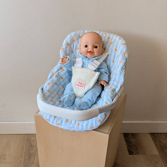 Blue Ducky Car Seat