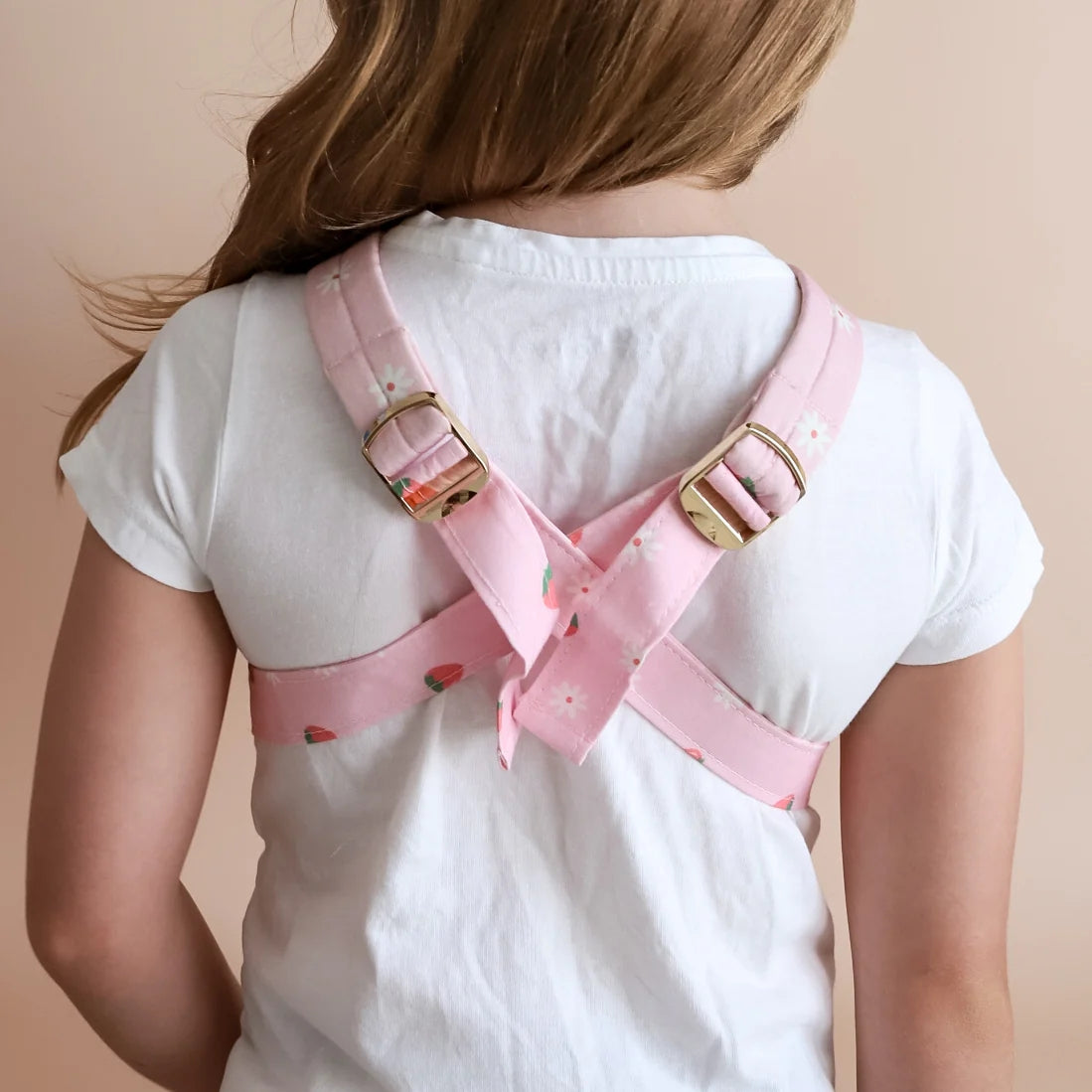 Strawberry Picnic Carrier